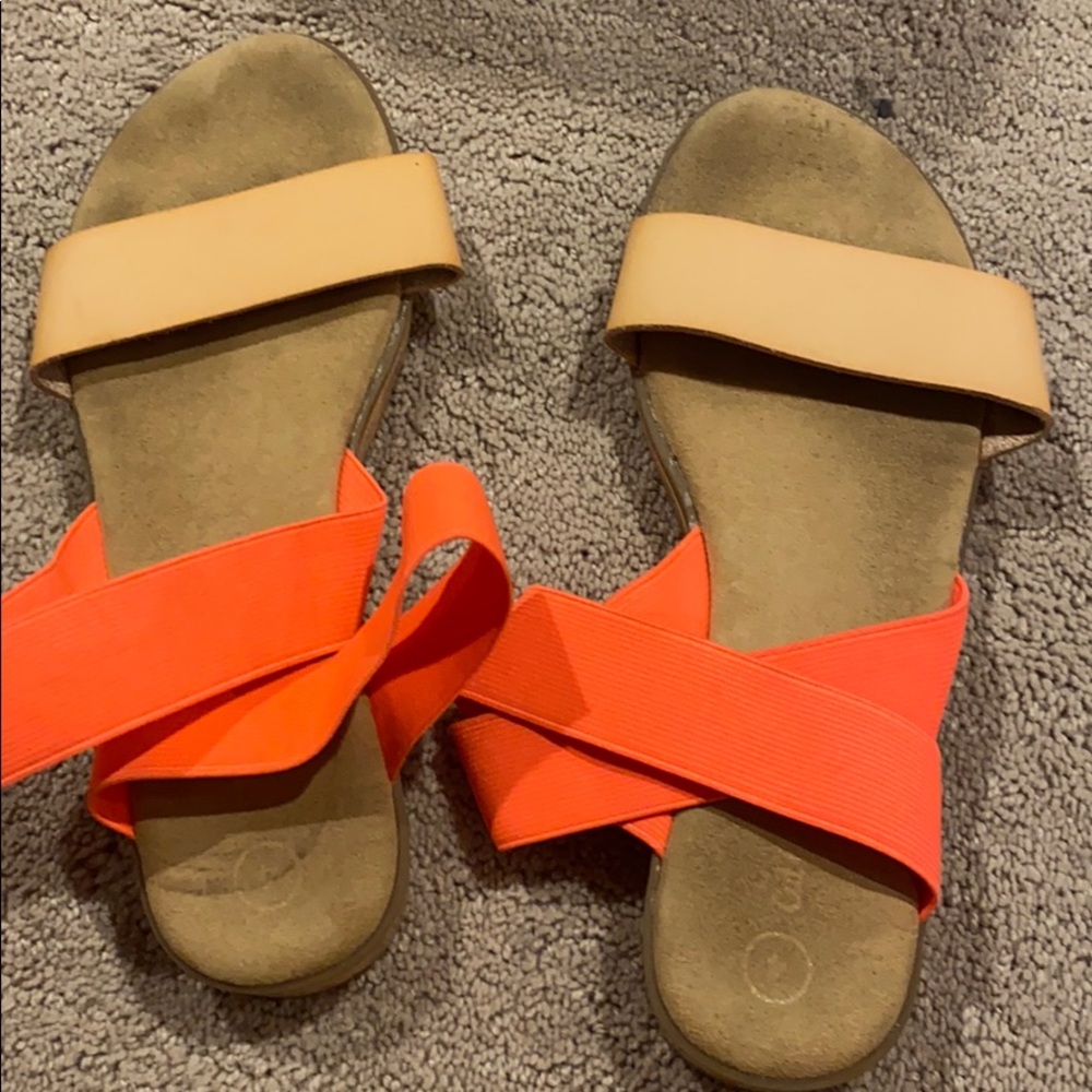 Cat and Jack shoes